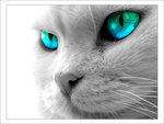 Small
