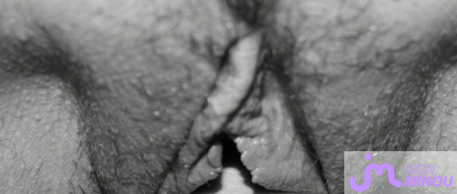 minous de Dav3181