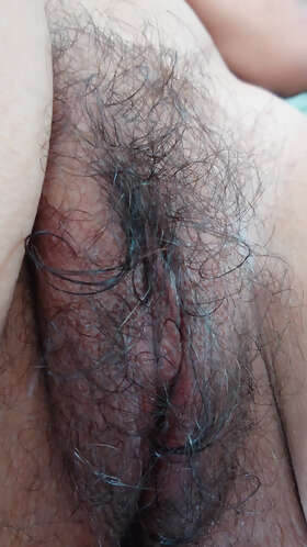 Photos de minous : Louloute 2