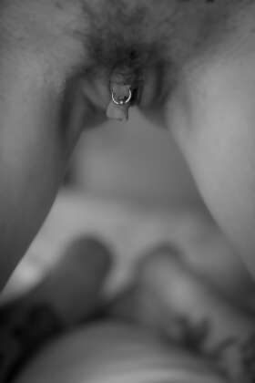 Photos de minous : LoBelle