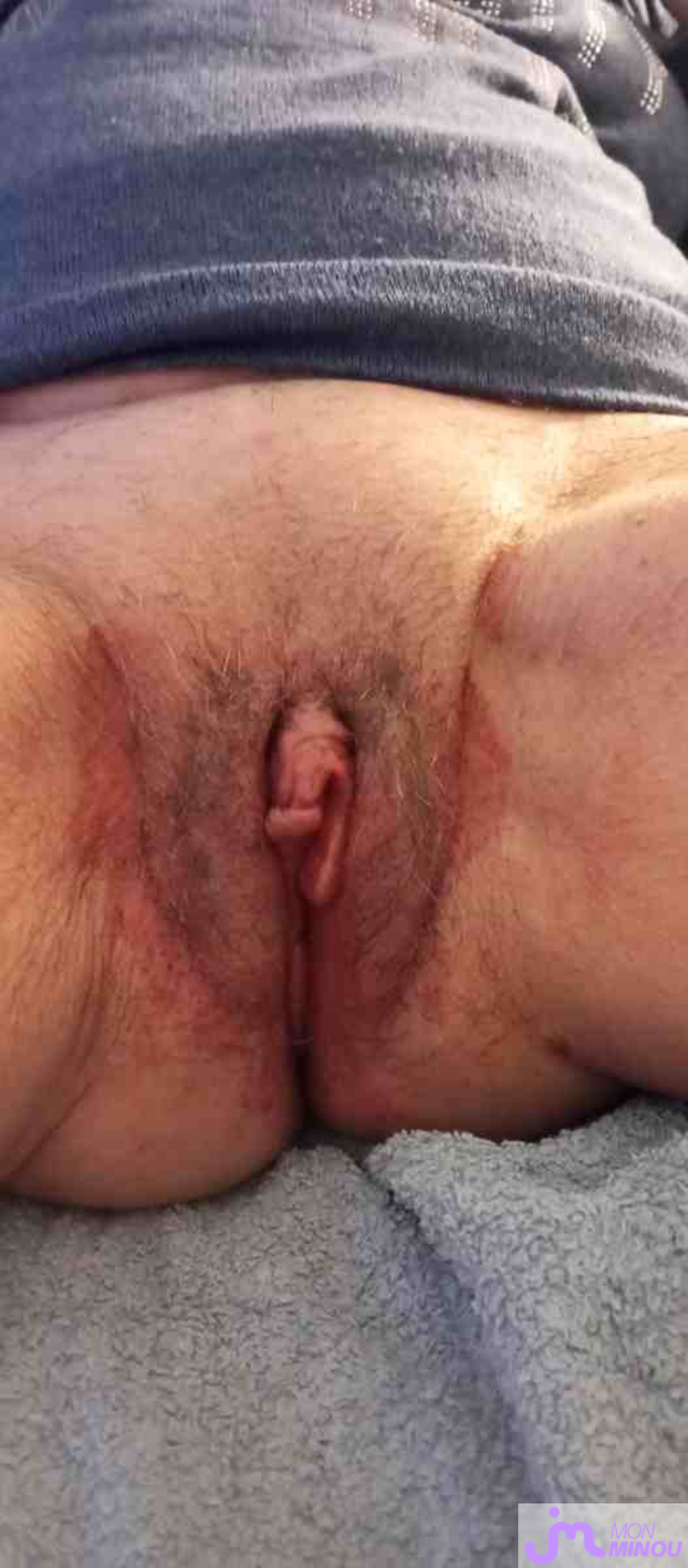 Photos de minous : ma chatte