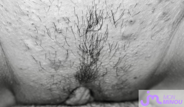 Photos de minous : Détails poilu 