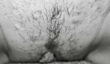 Photos de minous : Détails poilu 