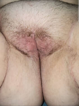 Photos de minous : Une chatte confortable 