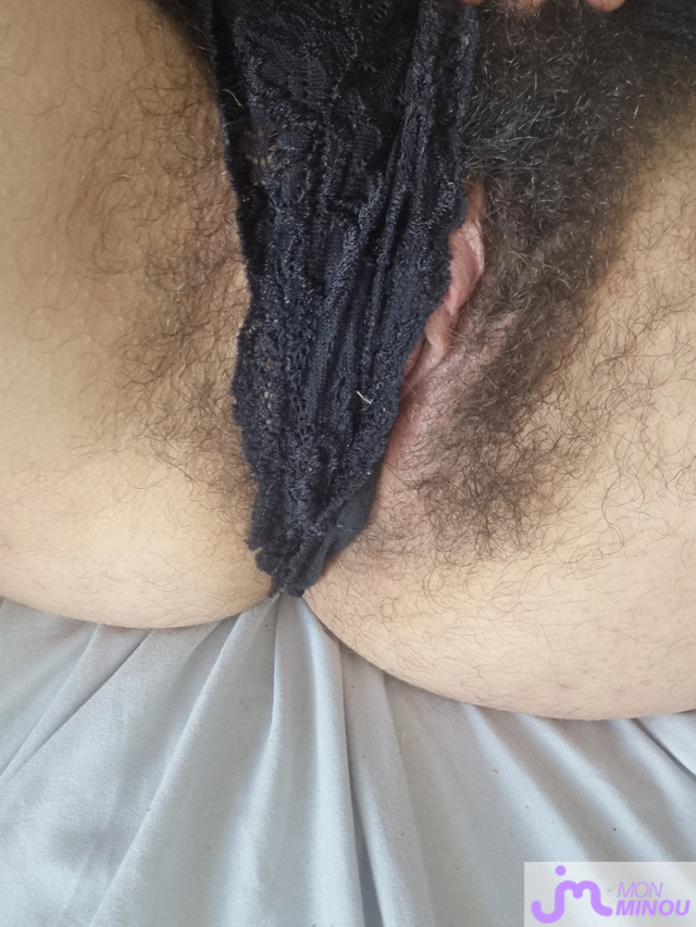 minous de minou.poilu