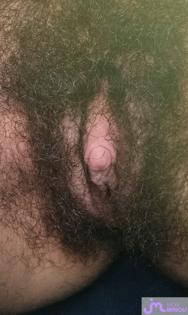 minous de minou.poilu