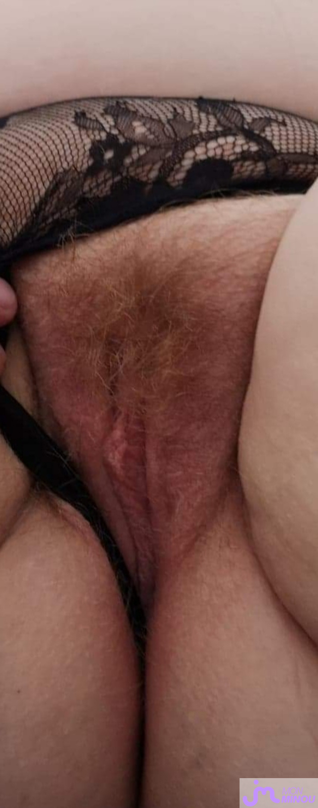 Photos de minous : Poilue ❤️❤️❤️❤️