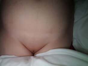 Photos de minous : 😉