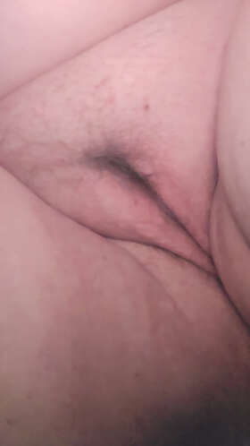 Photos de minous : Curvy 