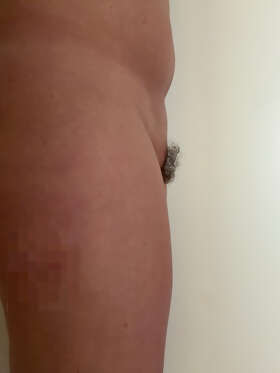 Photos de minous : 8eme serie