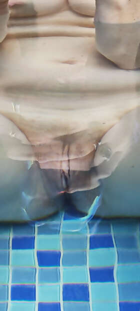 Photos de minous : Piscine 
