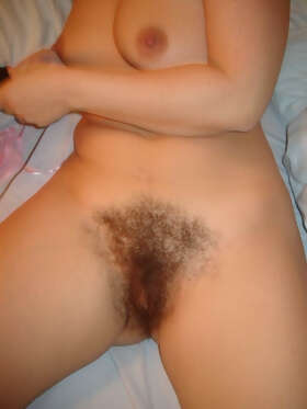 Photos de minous : fournie  