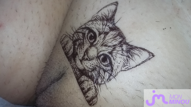 Photos de minous : Mon minou quand il &eacute;tait tout lisse